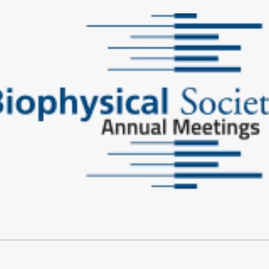 BPS_meeting