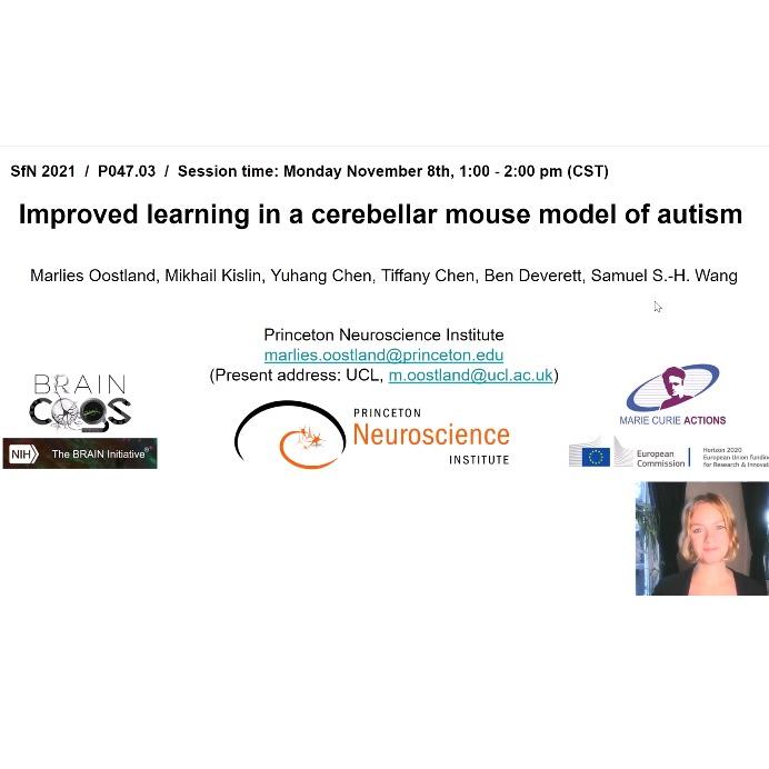 Title slide from Oostland SfN 2021.