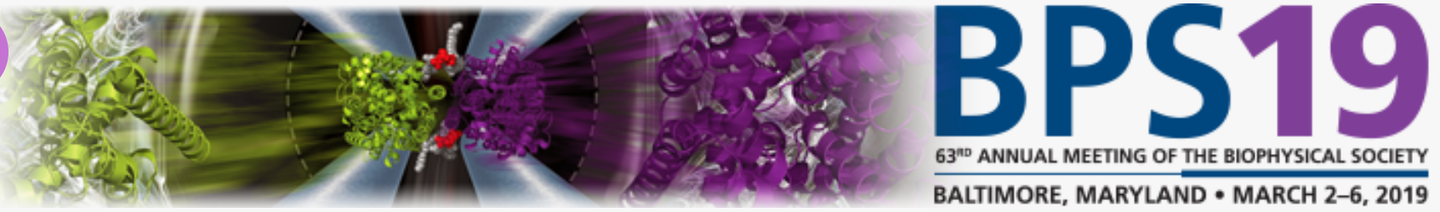 BPS_2019
