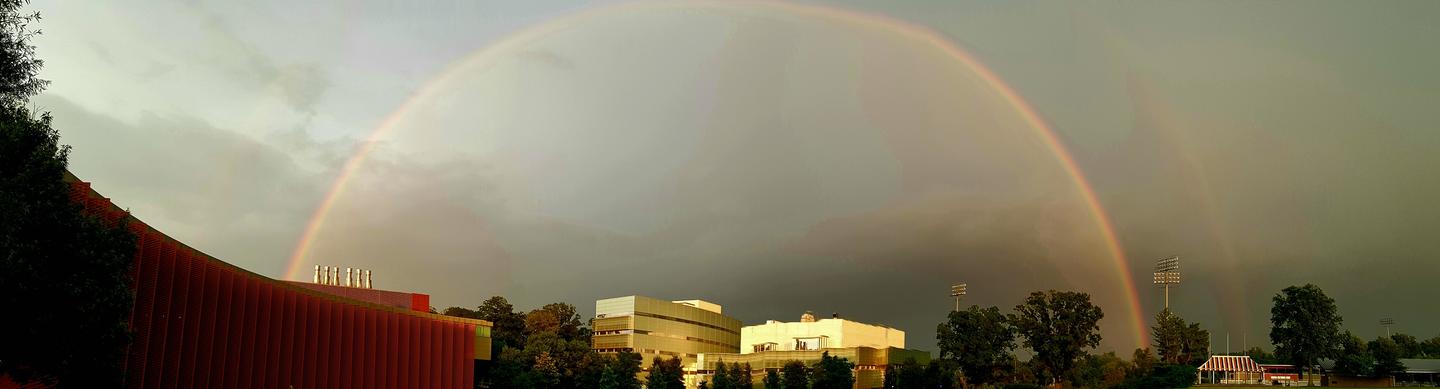 PNI_rainbow