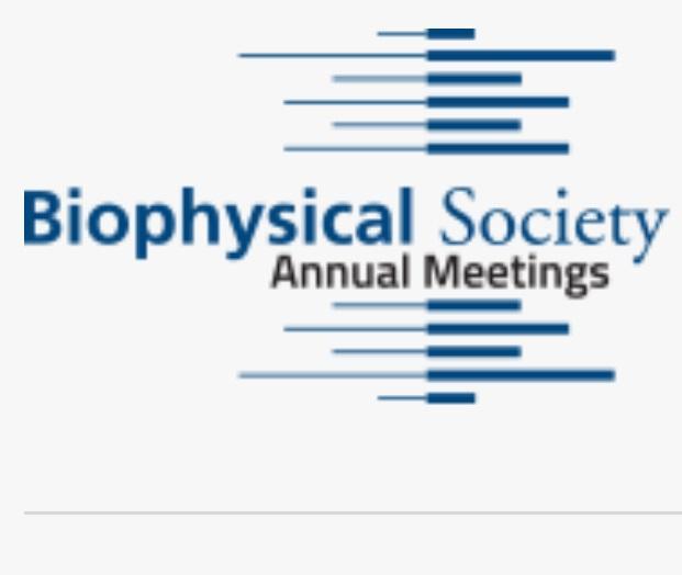 BPS_meeting