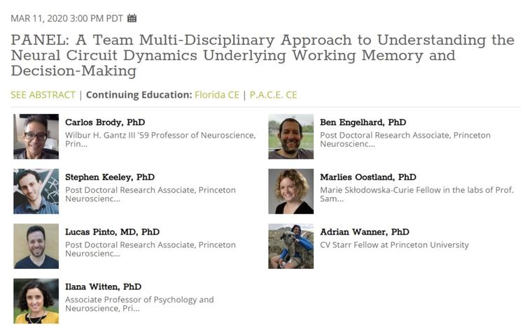 The BRAIN CoGS team presenting at the Labroots Virtual Conference